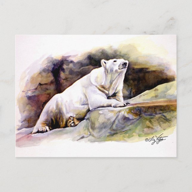 Resting Polar Bear Postcard (Front)