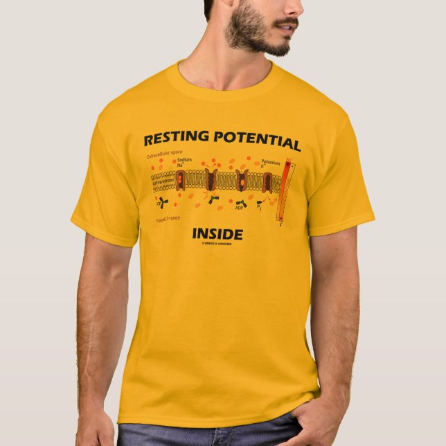Resting Potential Inside (Sodium-Potassium Pump) T-Shirt (Front)