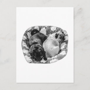 Resting Pups, Quiet Season Postcard