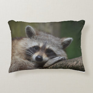 Resting Racoon Decorative Cushion