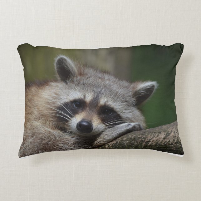 Resting Racoon Decorative Cushion (Front)