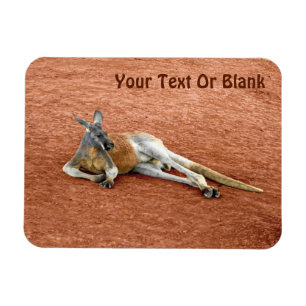 Resting Red Kangaroo Buck Magnet