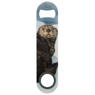 Resting Sea Otter