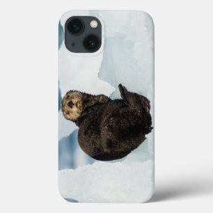 Resting Sea Otter iPhone 13 Case
