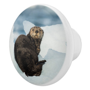 Resting Sea Otter Ceramic Knob
