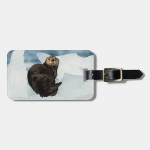 Resting Sea Otter Luggage Tag