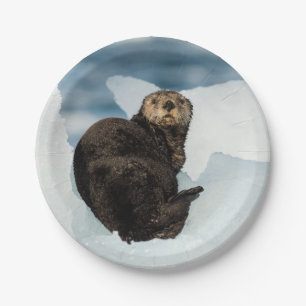 Resting Sea Otter Paper Plate