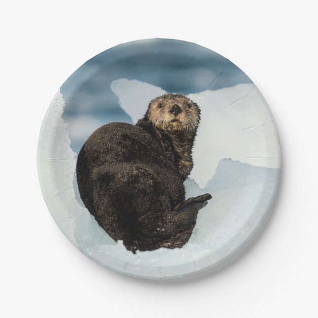 Resting Sea Otter Paper Plate (Front)