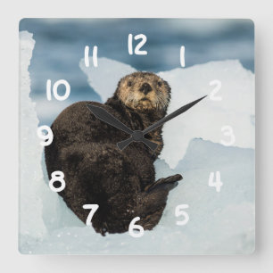 Resting Sea Otter Square Wall Clock