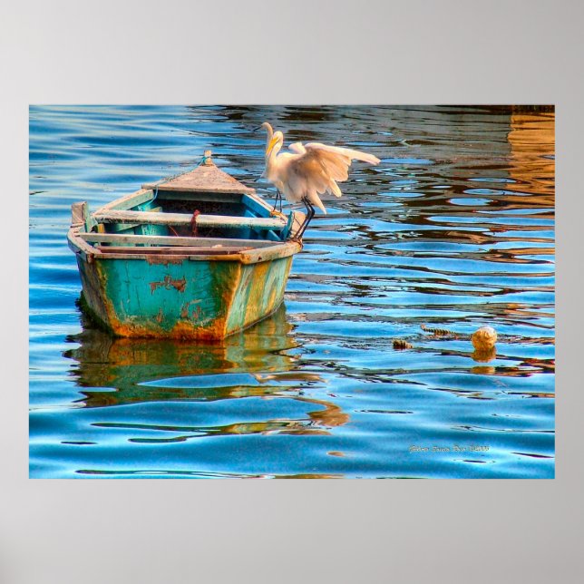 Resting Spot Poster (Front)