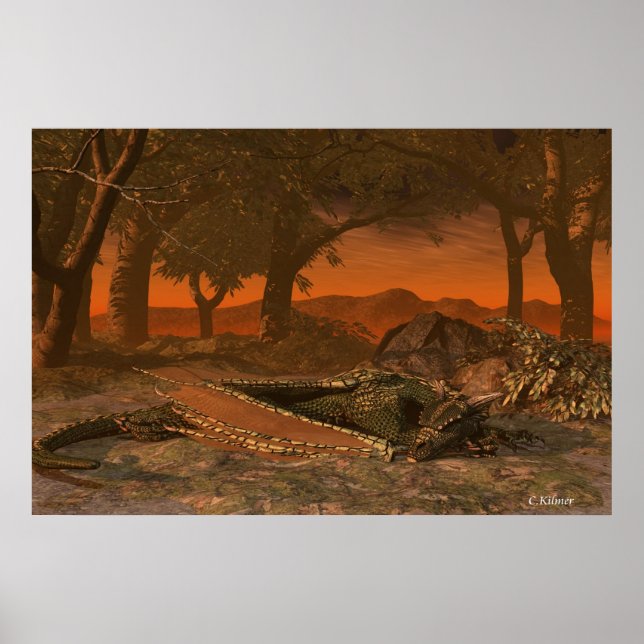 Resting Spot Poster (Front)