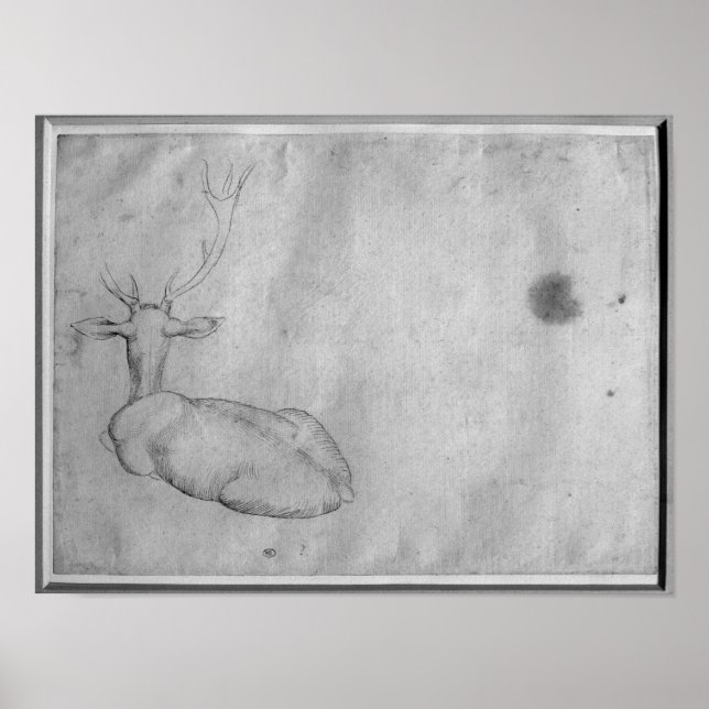 Resting stag poster (Front)