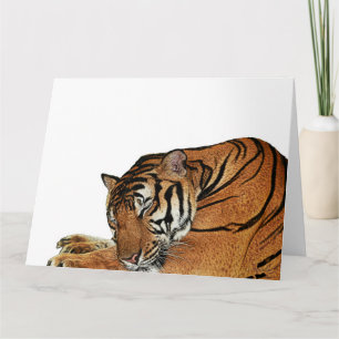 Resting Tiger Card