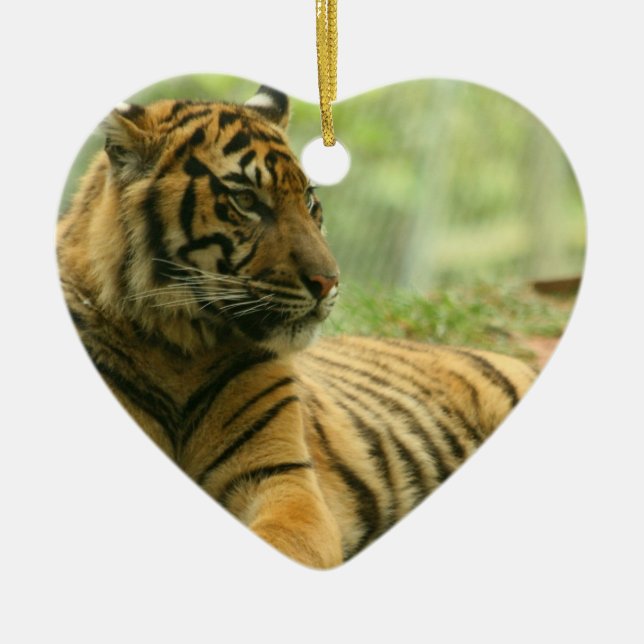 Resting Tiger  Ornament (Front)