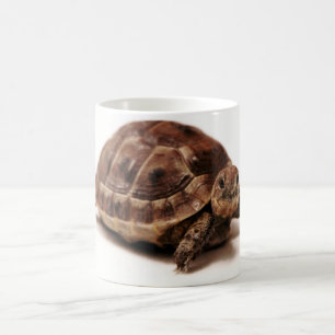 Resting Tortoise Coffee Mug