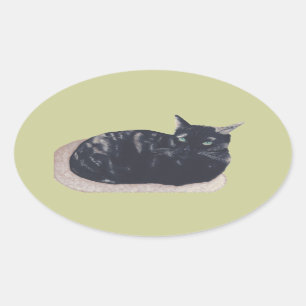 Resting Tortoise Shell Cat Oval Stickers