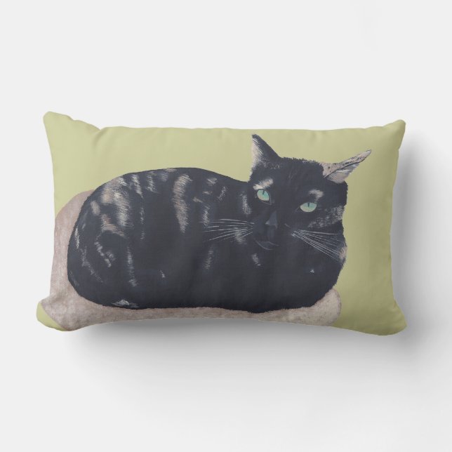 Resting Tortoise Shell Cat Painting Custom Pillow (Front)