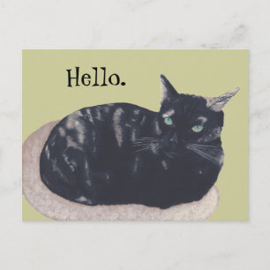 Resting Tortoise Shell Cat Painting Hello Postcard