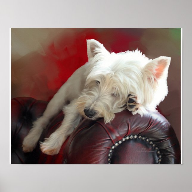Resting Westie Poster (Front)