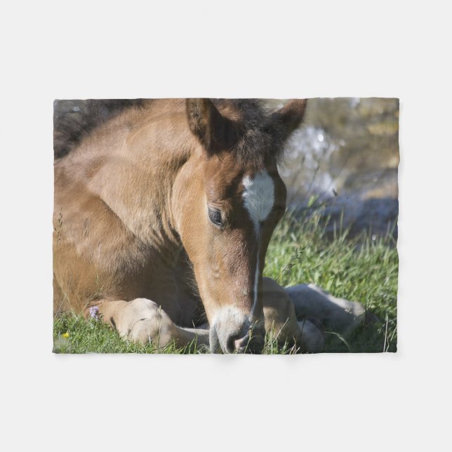 Resting Wild Pony Fleece Blanket