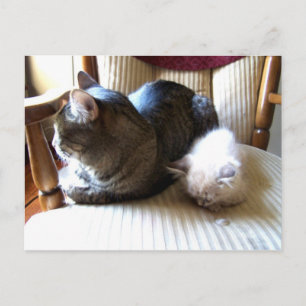 resting with you postcard