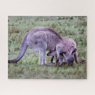 Resting Young Kangaroo Jigsaw Puzzle