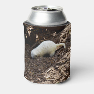 Restless Hunger: White Meerkat Digging for a Meal Can Cooler