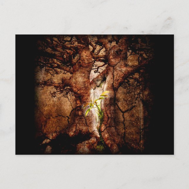 Restore the Desolate Years Postcard (Front)