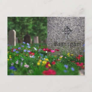 Resurgam Postcard