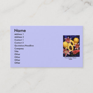 Retail Sales / Frequent shopper card