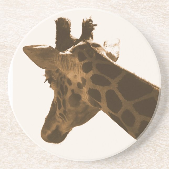Reticulate Giraffe profile Coaster (Front)