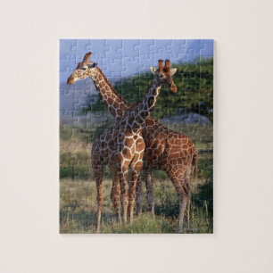 Reticulated Giraffe 2 Jigsaw Puzzle