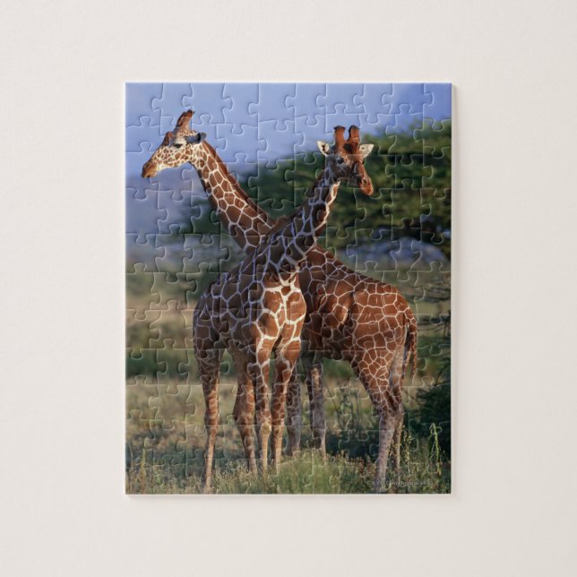 Reticulated Giraffe 2 Jigsaw Puzzle (Vertical)