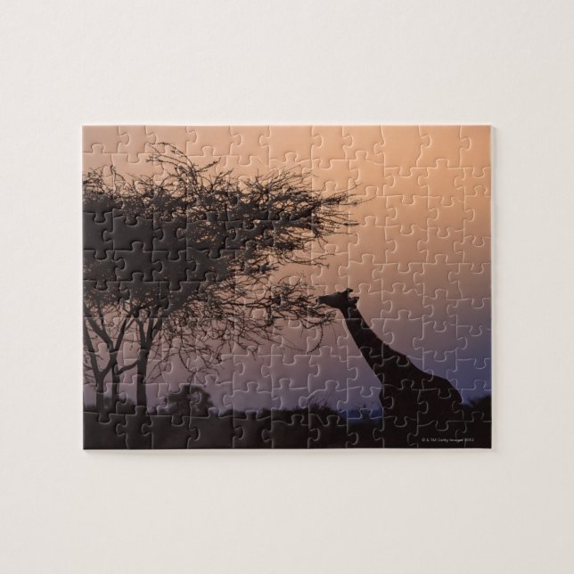 Reticulated Giraffe 2 Jigsaw Puzzle (Horizontal)