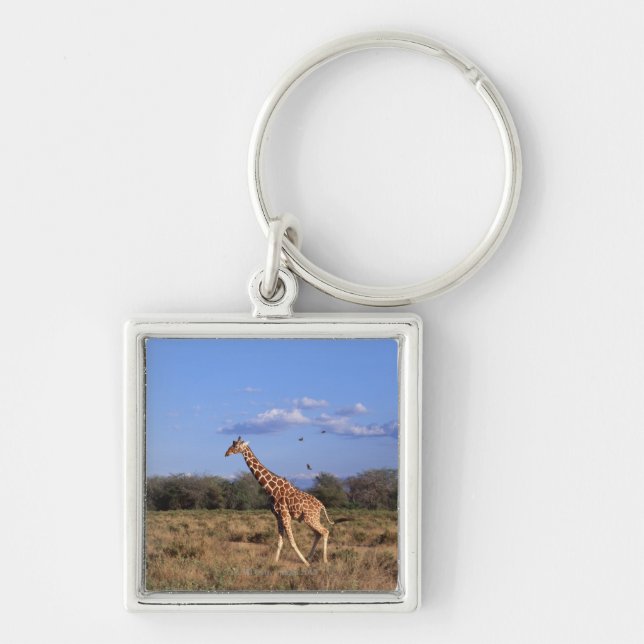 Reticulated Giraffe 2 Key Ring (Front)