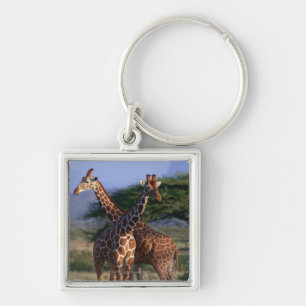 Reticulated Giraffe 2 Key Ring