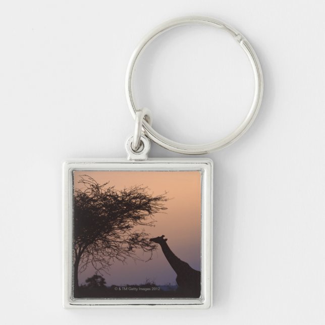Reticulated Giraffe 2 Key Ring (Front)