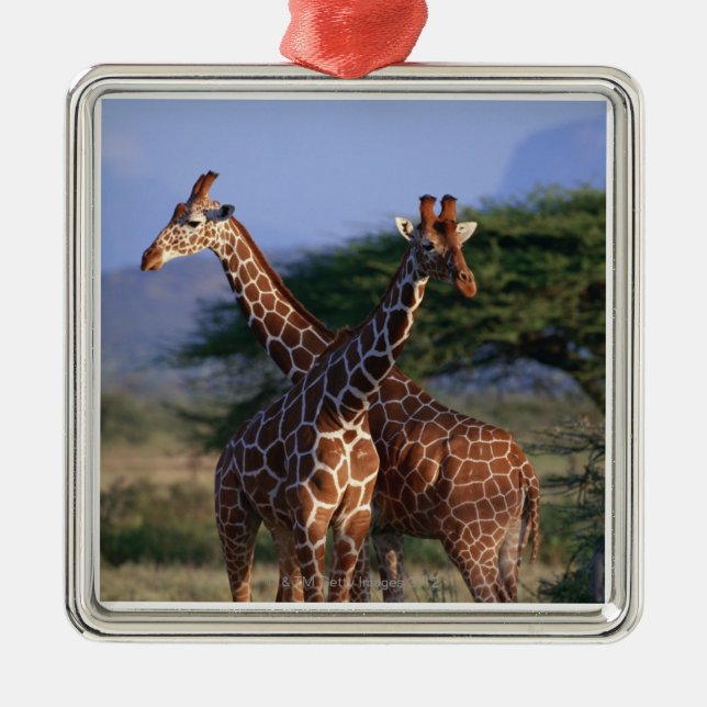 Reticulated Giraffe 2 Metal Tree Decoration (Front)