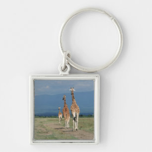 Reticulated Giraffe (Giraffa camelopardalis) 2 Key Ring