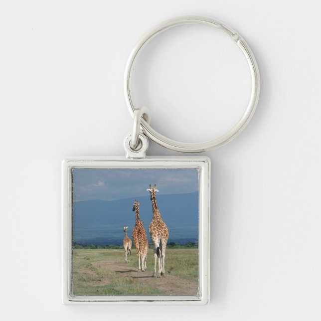 Reticulated Giraffe (Giraffa camelopardalis) 2 Key Ring (Front)