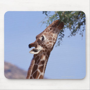 Reticulated Giraffe Mouse Pad