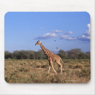 Reticulated Giraffe Mouse Pad