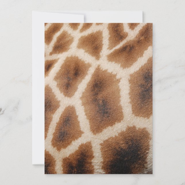 Reticulated Giraffe Pattern Wild Animal Print Gift (Front)