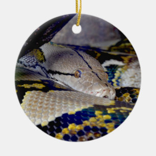 Reticulated Python Snake Ceramic Ornament