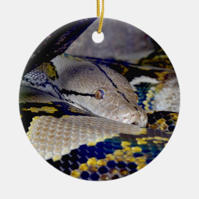 Reticulated Python Snake Ceramic Ornament (Front)