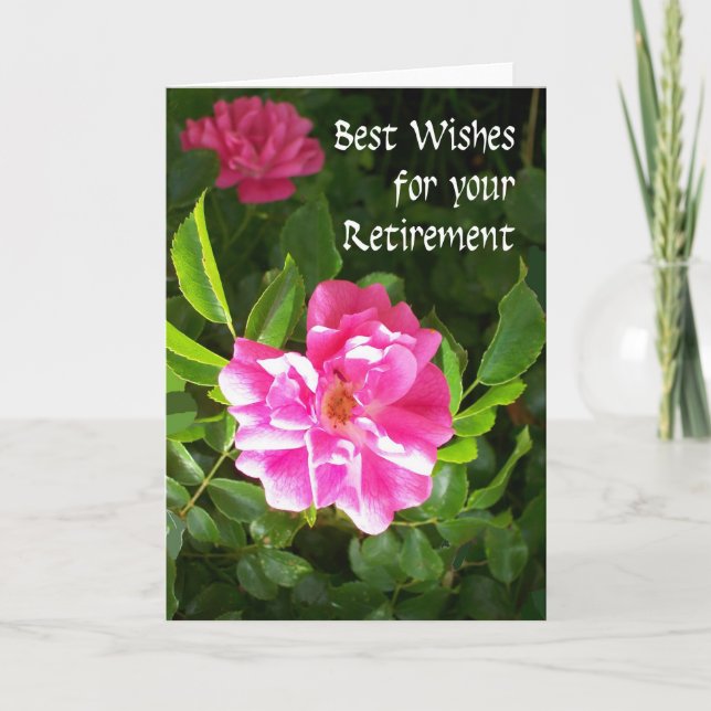 Retirement Best Wishes Card - Pink Roses (Front)