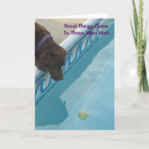 Retirement Card For Dog Lovers