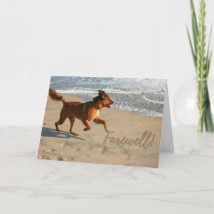 Retirement Farewell Running Dog on the Beach Card