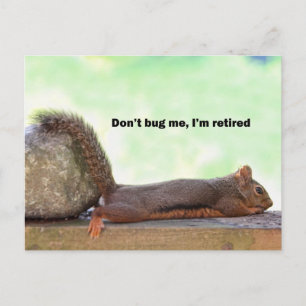 Retirement Humour Squirrel Postcard