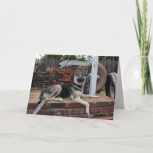 Retirement Lucky Dog German Shepherd Card